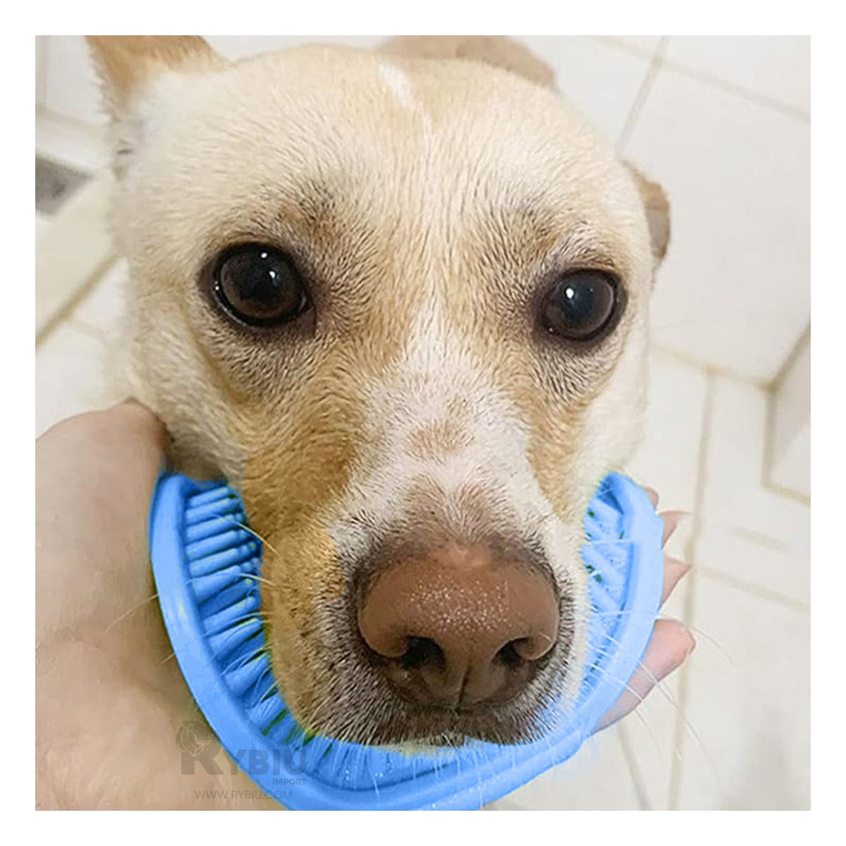 RYBIU IMPORT - Cepillo Flexible Suave de Mascota Celeste Y+Gift MiniAgenda