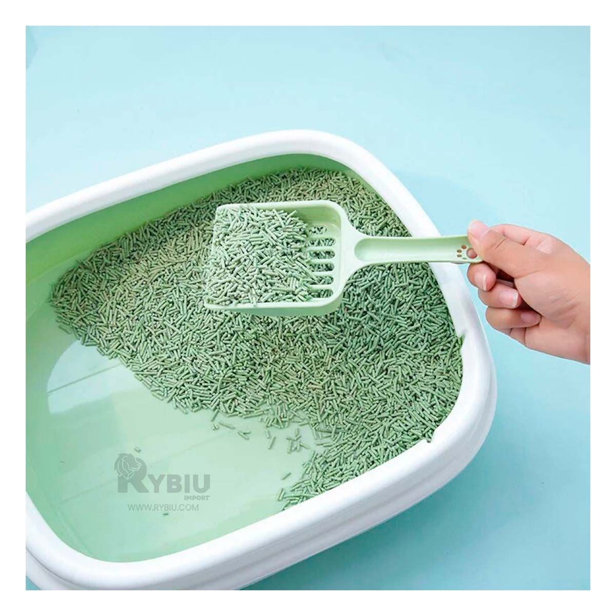 RYBIU IMPORT - Baño para Gatitos con Pala 40x33x11 Verde Y+Gift Stickers