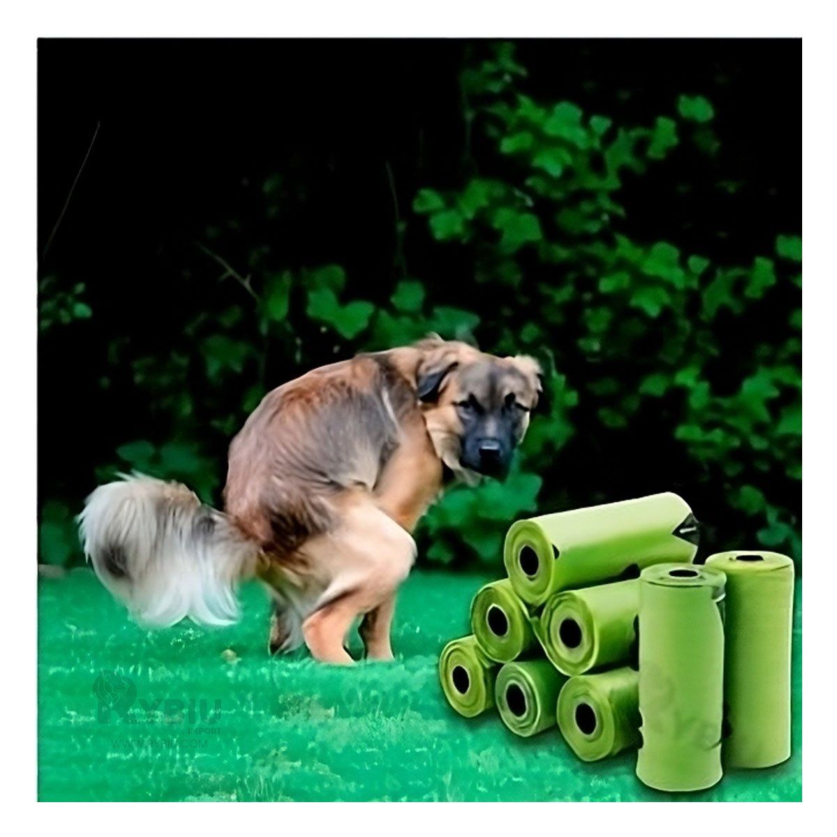 GENERICO - Bolsa con Diseño de Patitas Tono Verde Y+Papel de Regalo