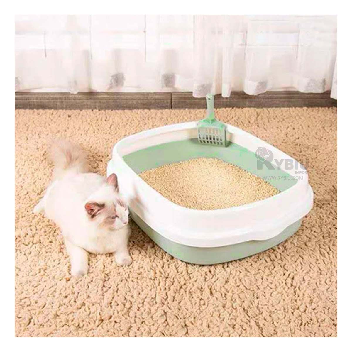 RYBIU IMPORT - Baño Funcional para Higiene 40x33x11 Verde Y+Regalo Stickers