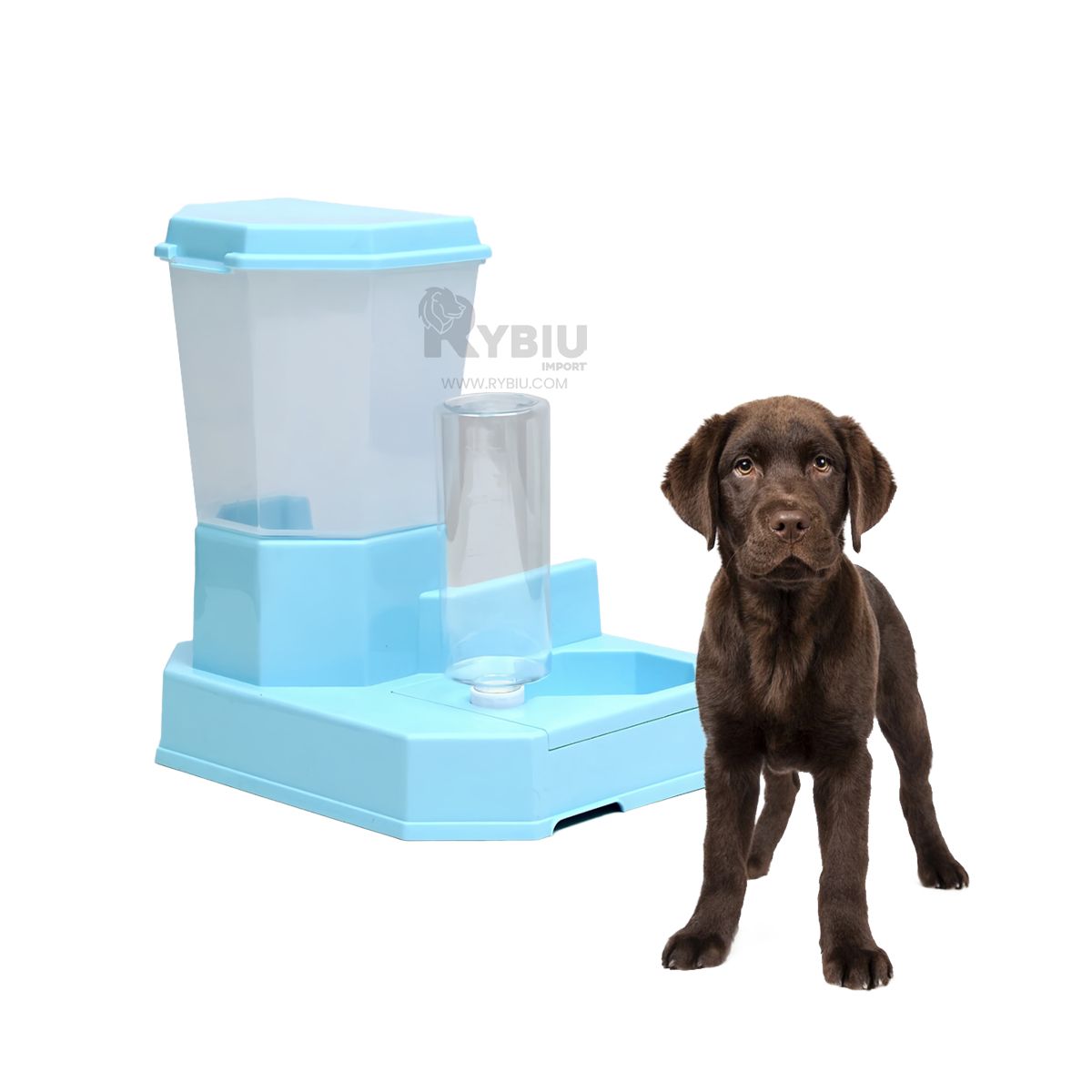 GENERICO - Comedero de Bebida y Comida Seca en Celeste Y+Agendita