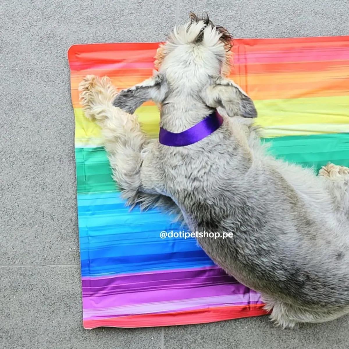 GENERICO - Manta refrigerante Pet Cool Mat L 90x50 cm - Multicolor