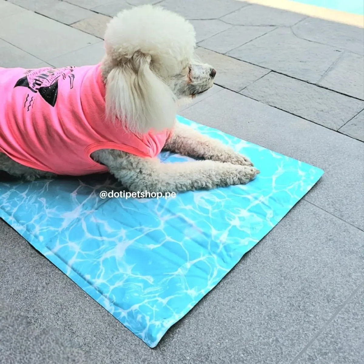 GENERICO - Manta refrigerante Pet Cool Mat XL 96X81 cm - Blue