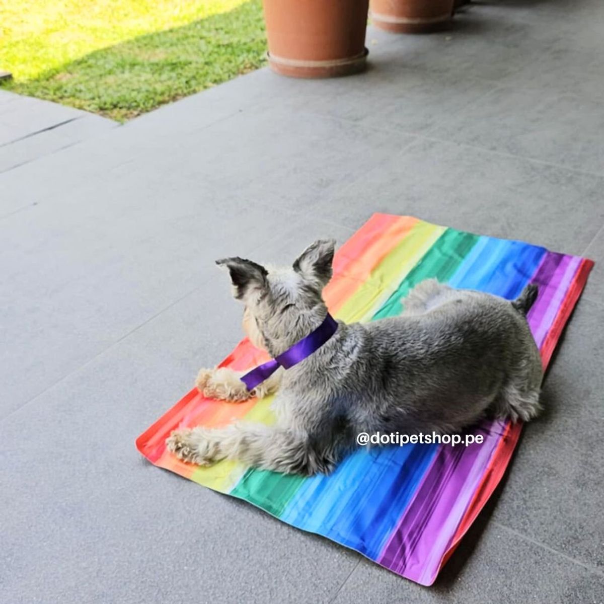 GENERICO - Manta refrigerante Pet Cool Mat XL 96x81 cm -Multicolor