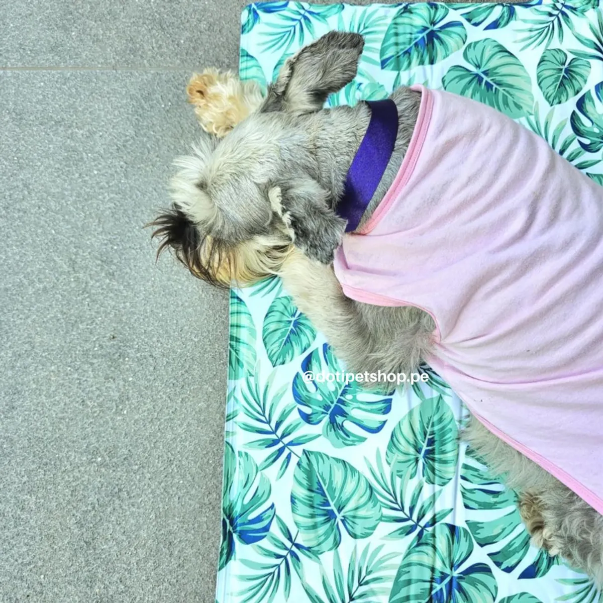 GENERICO - Manta refrigerante Pet Cool Mat XL 96x81 cm HOJAS