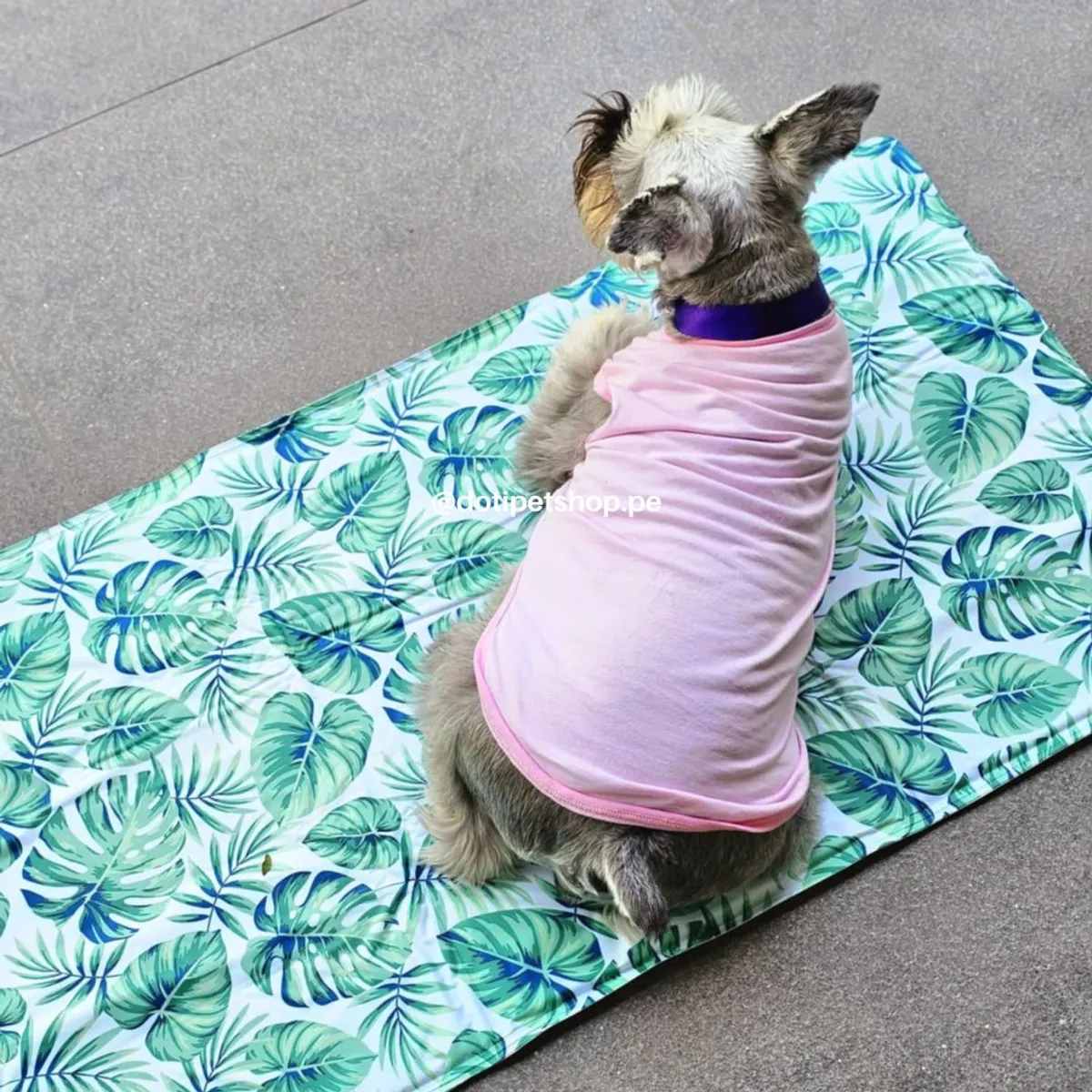 GENERICO - Manta refrigerante Pet Cool Mat XL 96x81 cm HOJAS