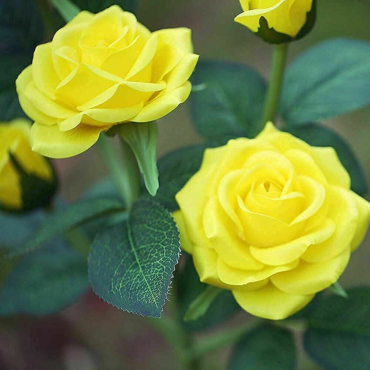 HOME NEAT - Lámpara LED Solares de flores de rosas para exteriores - Amarillo