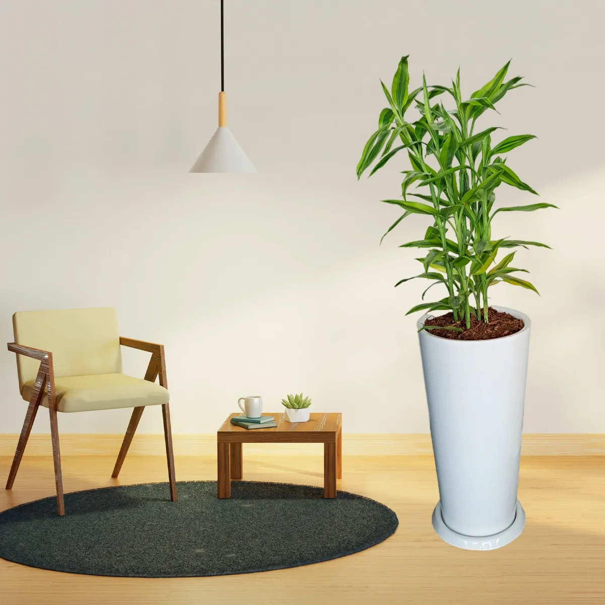 GENERICO - LUCKY BAMBOO EN MACETA CONO LAPIZ BLANCO