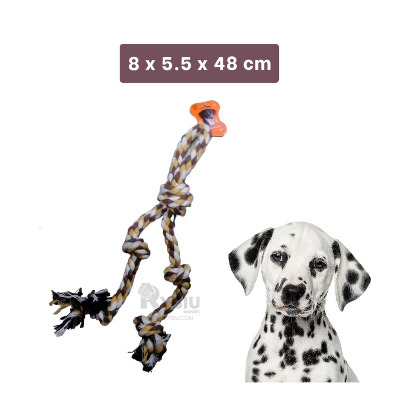 RYBIU IMPORT - Juguete de Dentadura Flexible Marron Y+Regalo Agendita