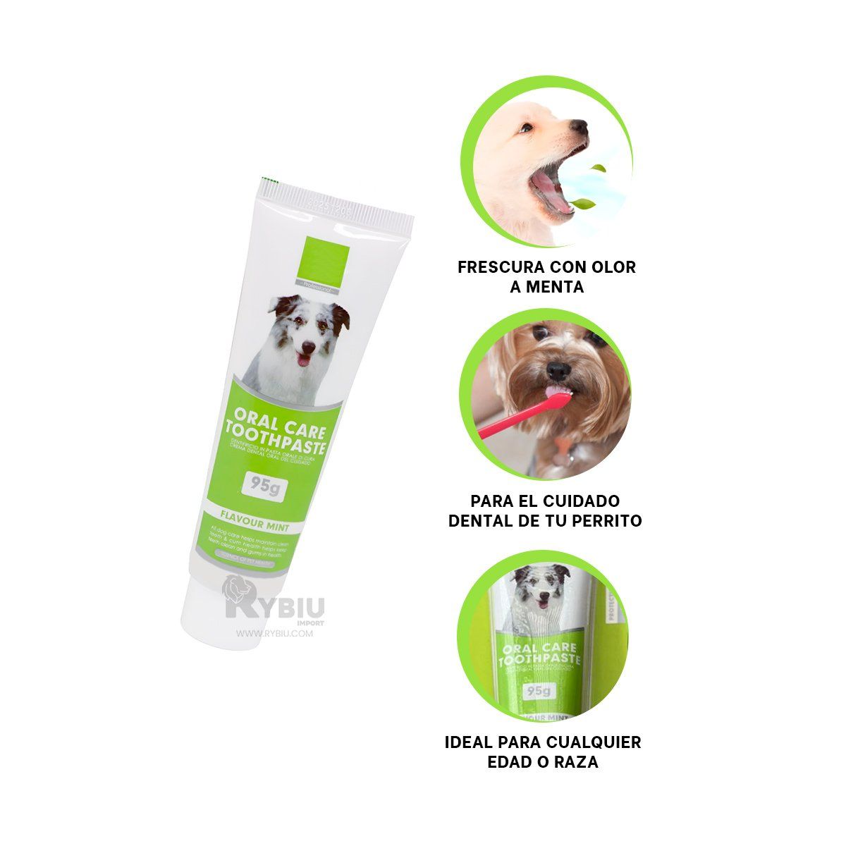 GENERICO - Dentrifico con Olor a Menta Verde Y+Regalo Ligas para Peinar