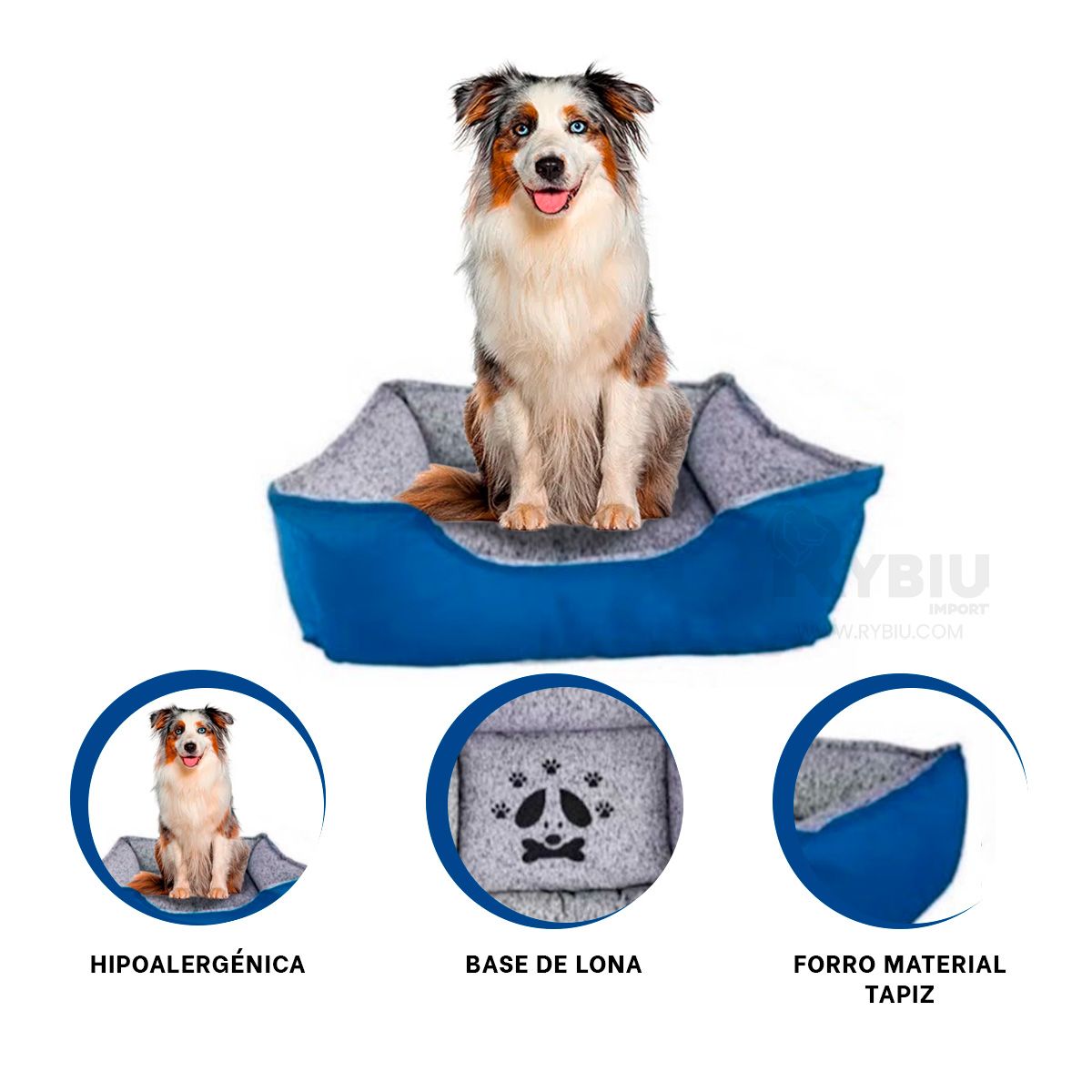 RYBIU IMPORT - Camita Dinamicocon Azul Talla XXL Y+Regalo Ligas para Peinar