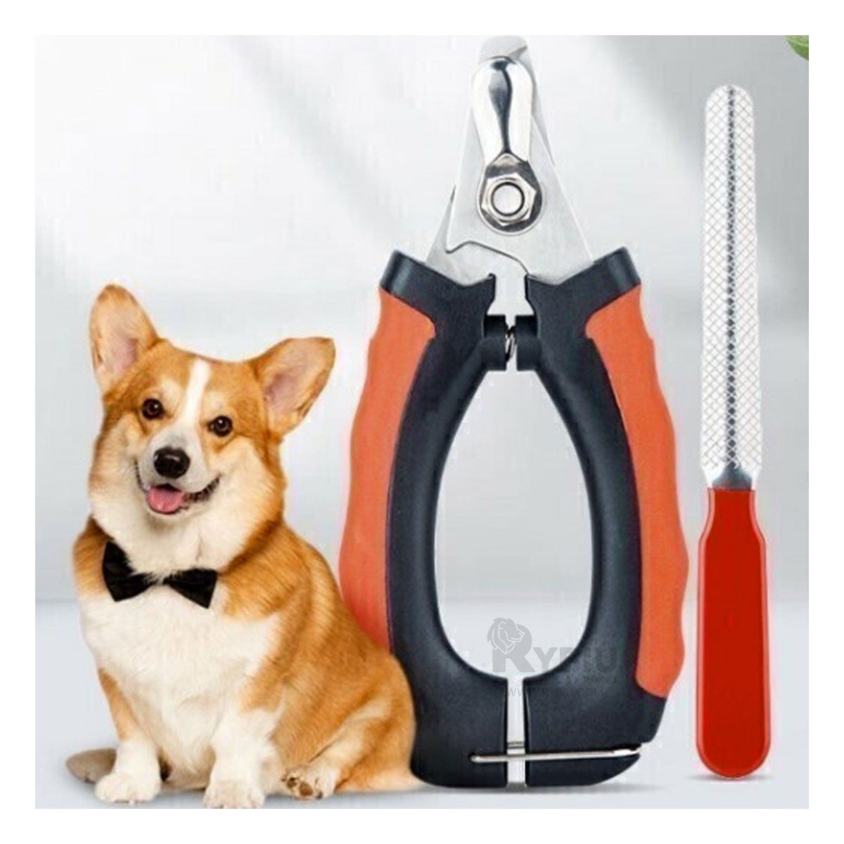 GENERICO - Tijeras de Uñas para Mascotas en Tono Rojo Y+Ligas de Regalo