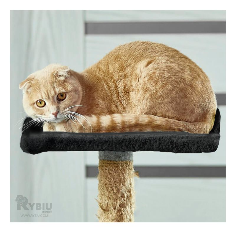 RYBIU IMPORT - Gym Portatil 3 Niveles Alta Calidad de Gato Diseño Negro