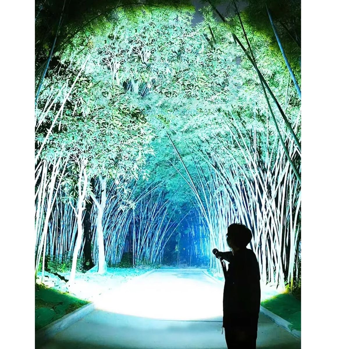 LIDIMI - Linterna Táctica LED Alta Potencia Recargable USB Resistente al Agua