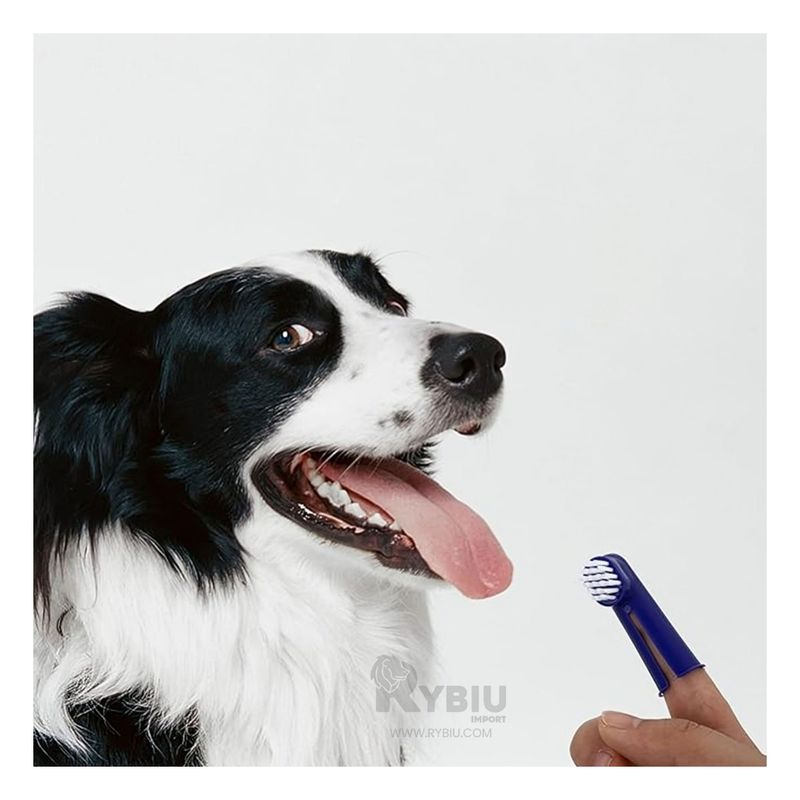 GENERICO - Kit de Limpieza Dental para Mascotas Multicolor