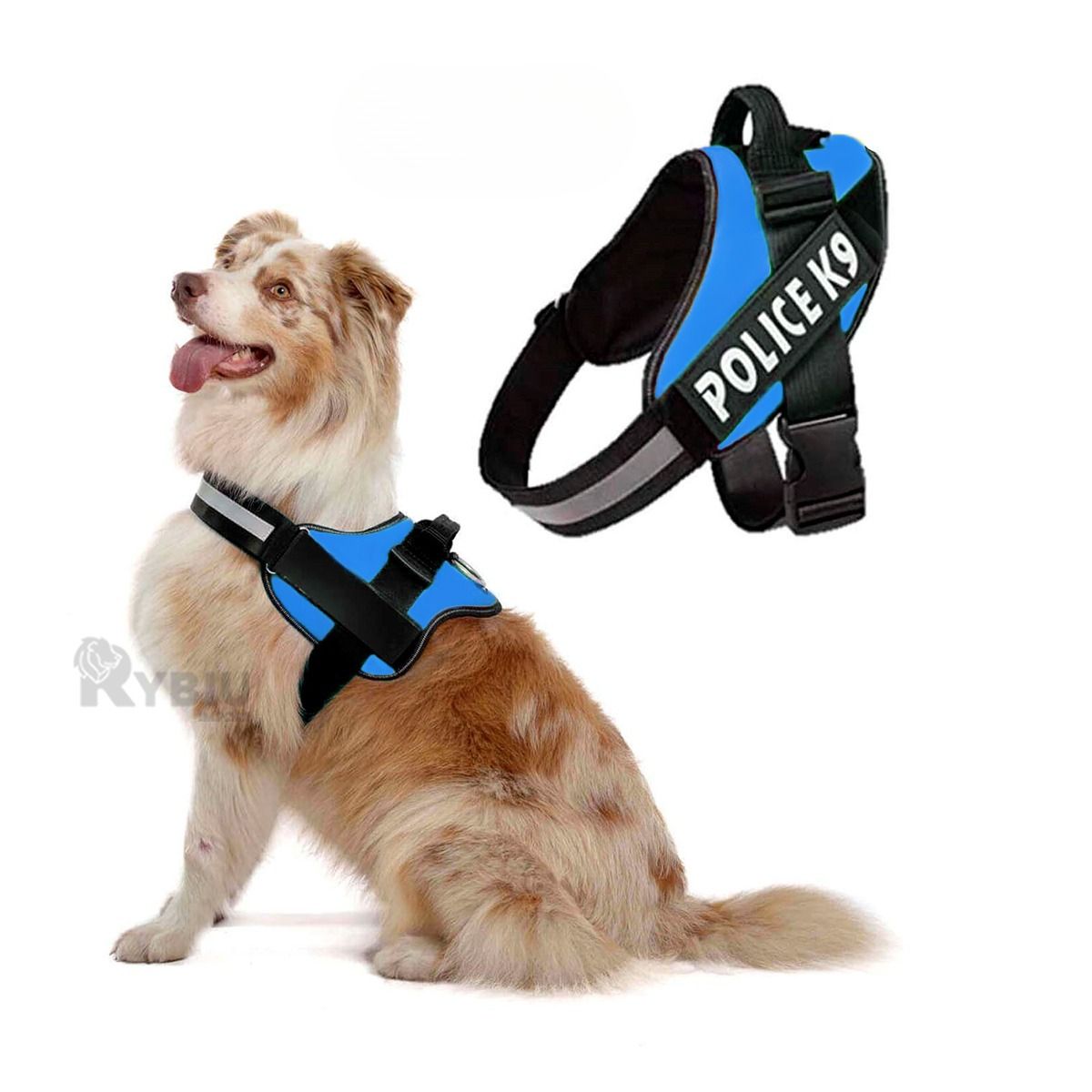 RYBIU IMPORT - Arnes Canino en Tono Azul XL Y+Regalo Ligas para Peinar