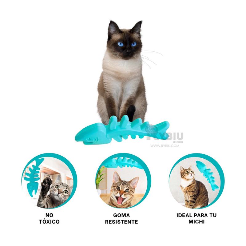 GENERICO - Espina para Mascotas Tono Verde Agua Y+Stickers