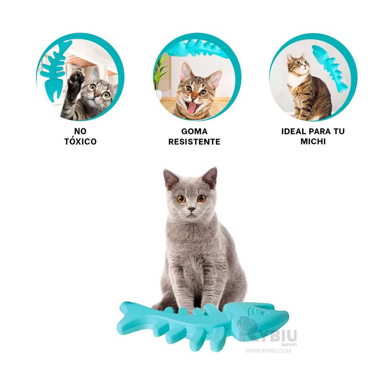 GENERICO - Espina de Pescado Color Verde Agua Y+Envoltorio de Regalo