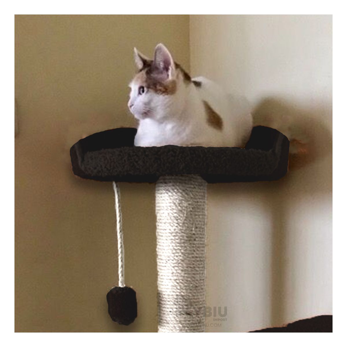 GENERICO - Gym de Hogar para Gato en Negro Y+Papel de Regalo