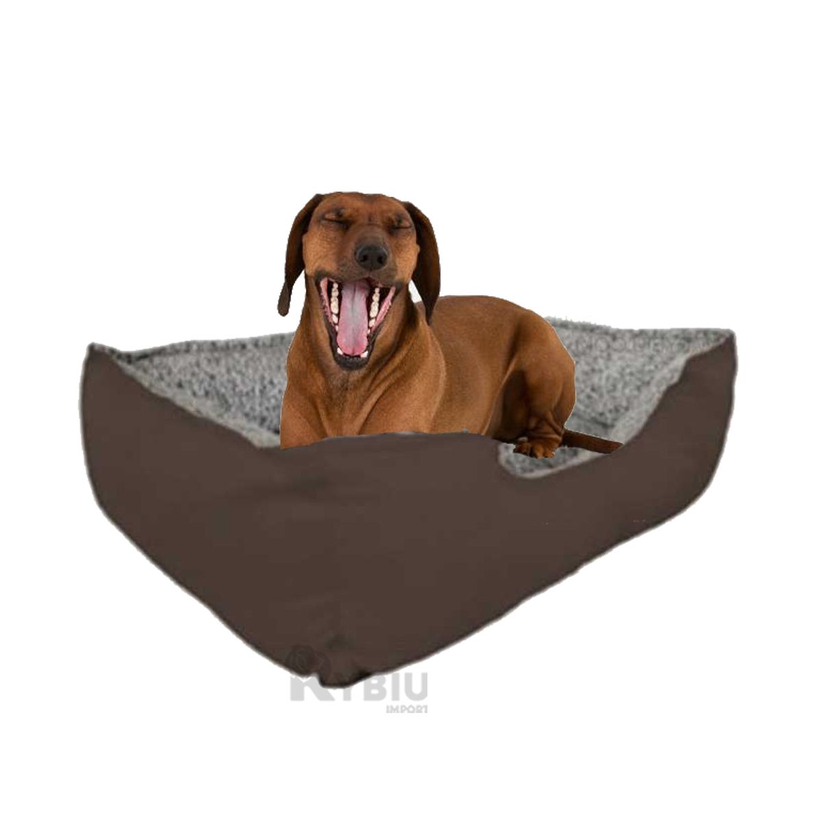 GENERICO - Cama con Base de Lona de Color Marron XL Y+Papel de Regalo