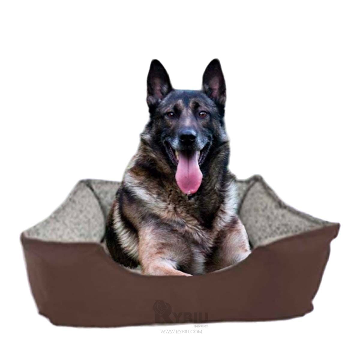 GENERICO - Camita Resistente y Eficaz Marron XL Y+Banderitas Adhesivas