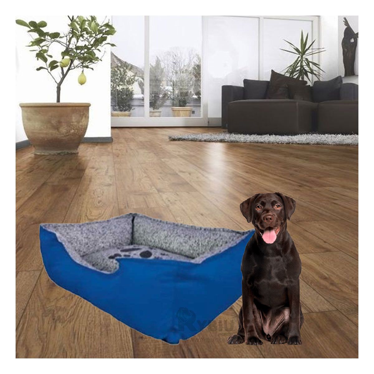 GENERICO - Base Comoda para Dormir Talla L Azul Y+Banderitas Adhesivas