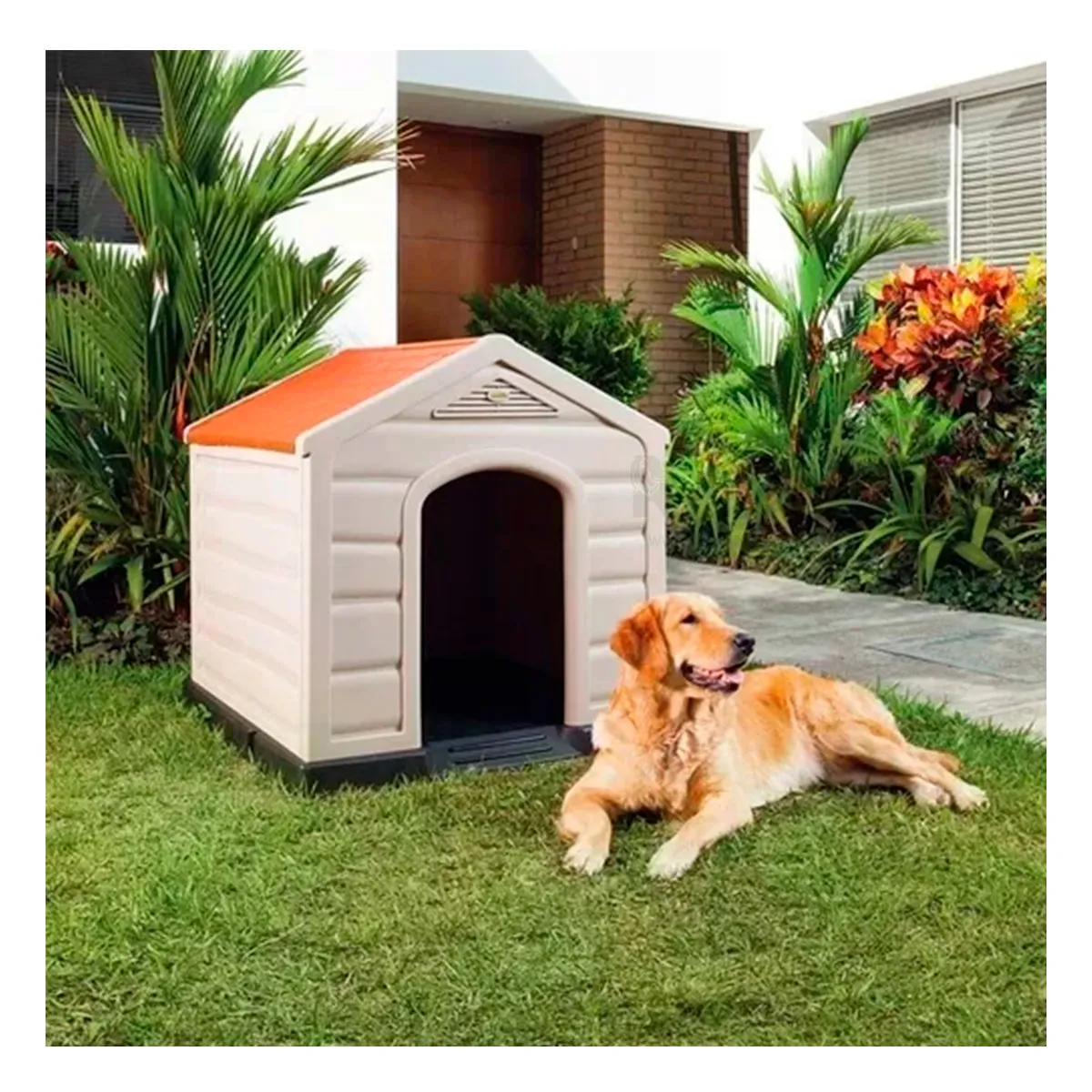 RYBIU IMPORT - Caseta de Facil Uso para Mascotas Grande Y+Regalo Agendita