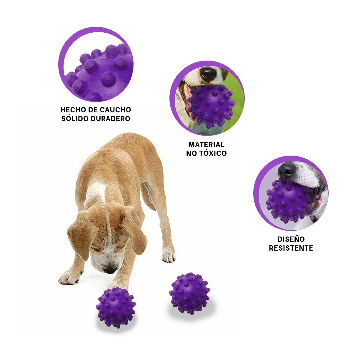 RYBIU IMPORT - Pelota para Mascotas de Gran Tamaño Morado Y+Regalo Stickers