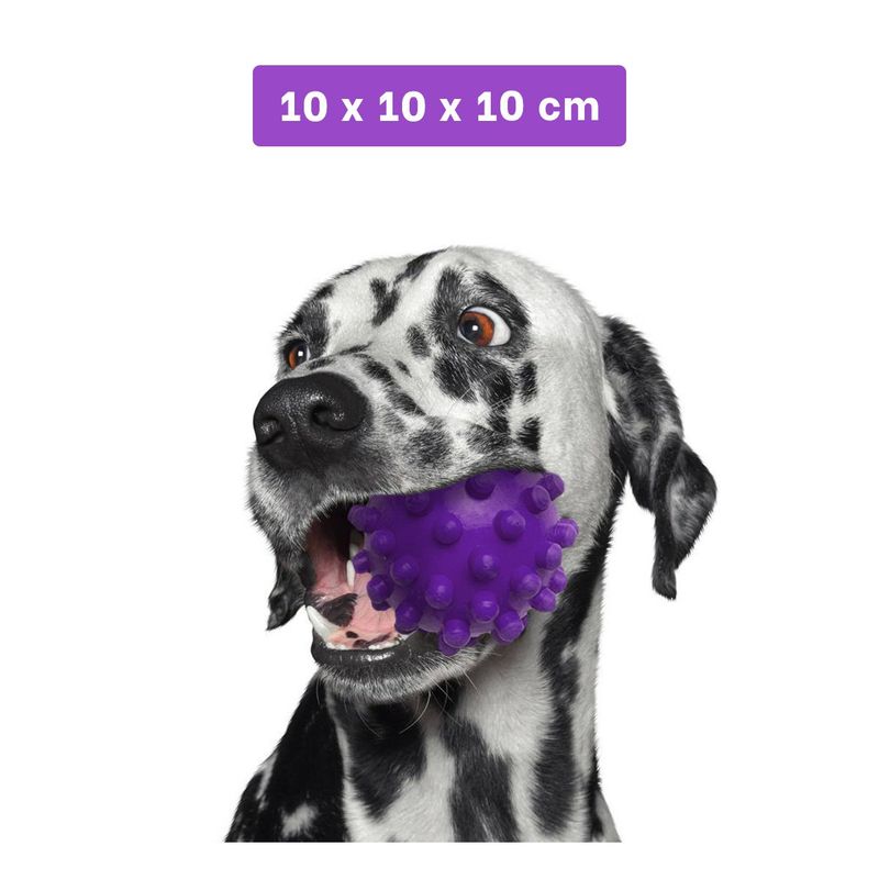 GENERICO - Balon de Caucho de Can en Morado Y+Regalo Ligas para Peinar