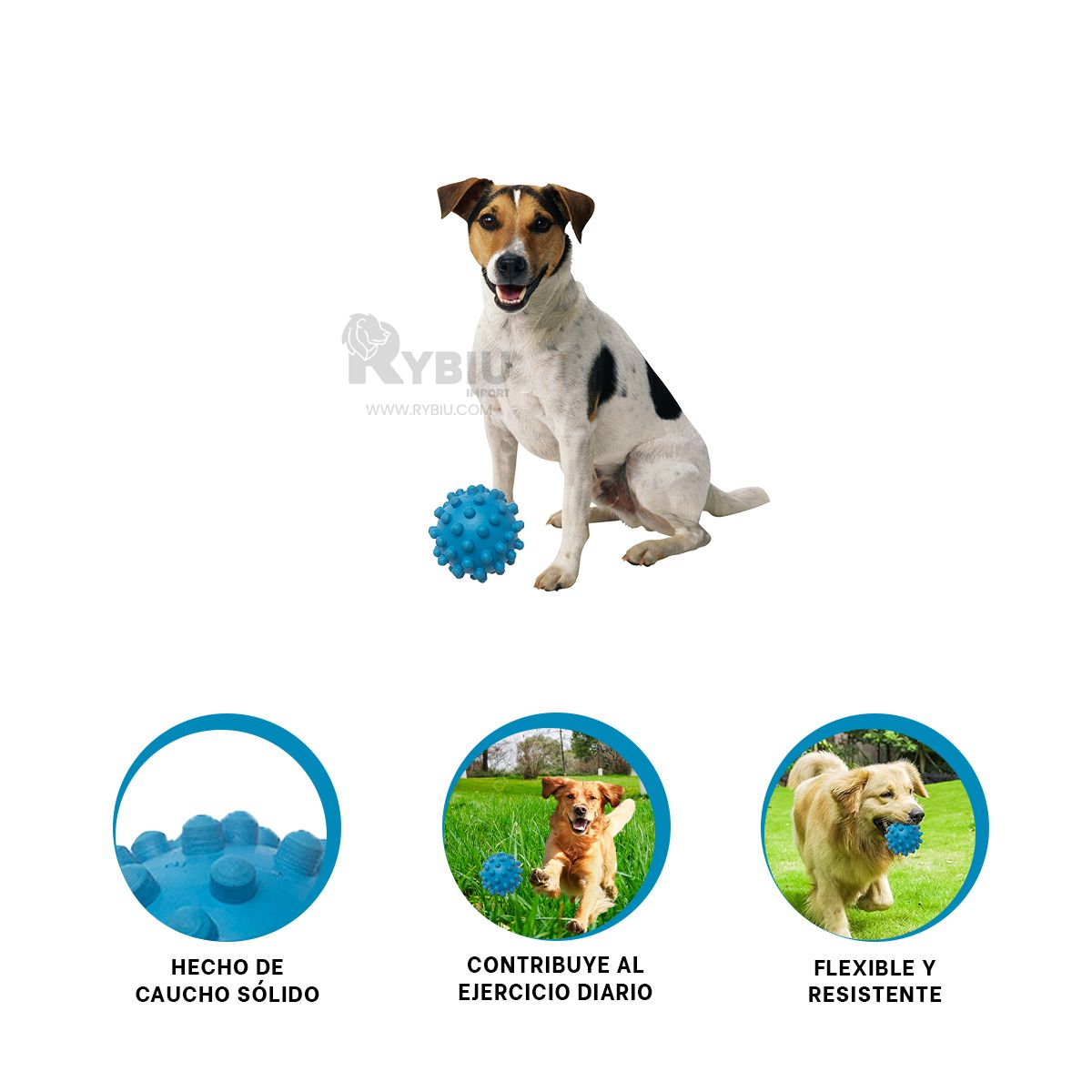 GENERICO - Pelota Masticable para Pet Celeste Y+Gift MiniAgenda