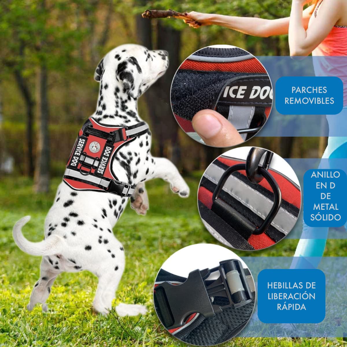 GENERICO - COLLAR Y PECHERA TURQUESA TALLA XL TÁCTICA REFORZADA