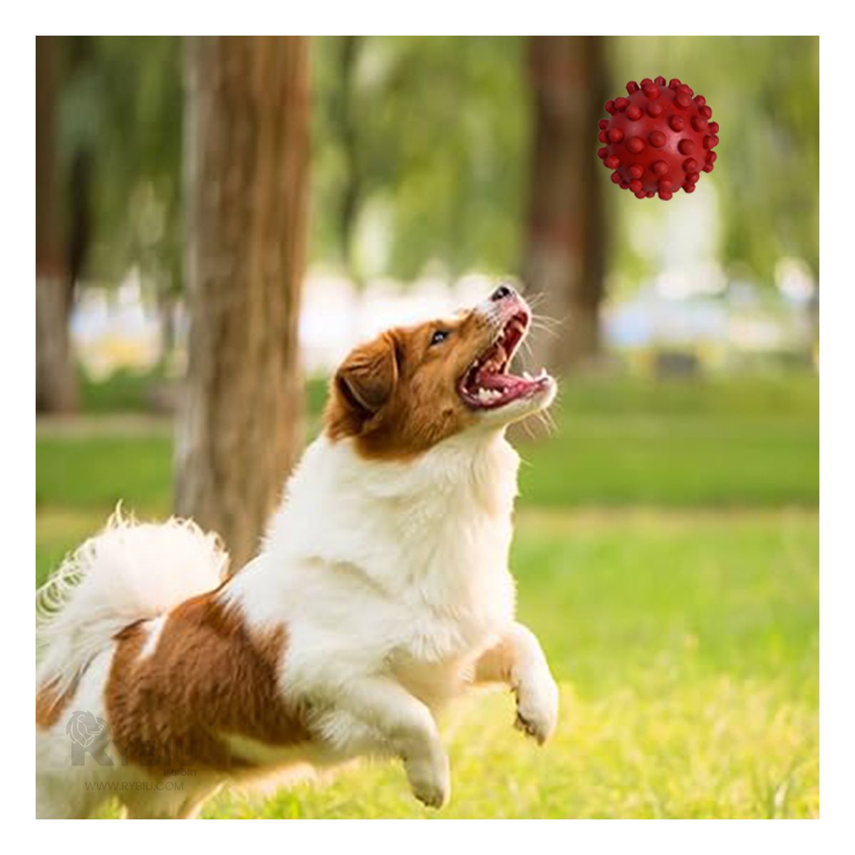 GENERICO - Pelota para Mascotas Flexible Rojo Y+Gift Stickers