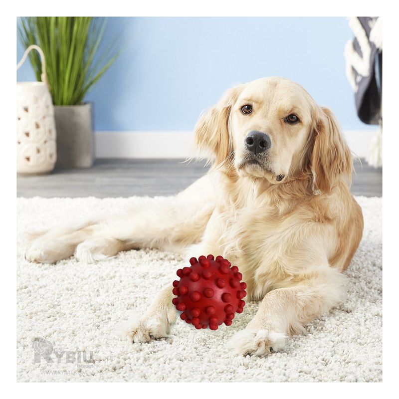 GENERICO - Juguete Elastico para Perro Talla L Rojo Y+Papel de Regalo