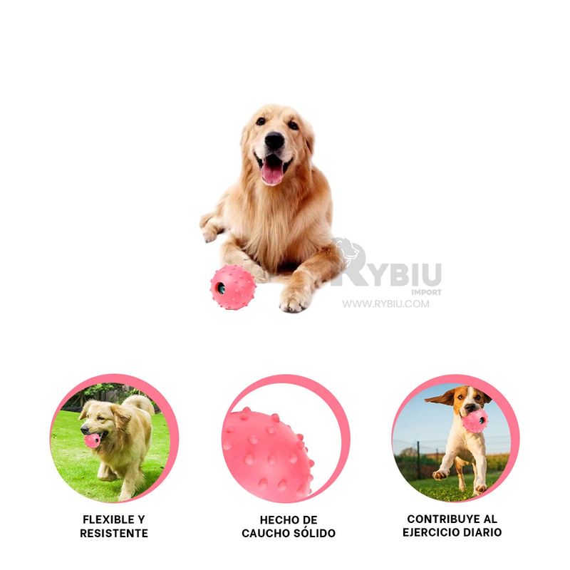 RYBIU IMPORT - Balon de Caucho de Can en Rosado Y+Regalo Ligas para Peinar