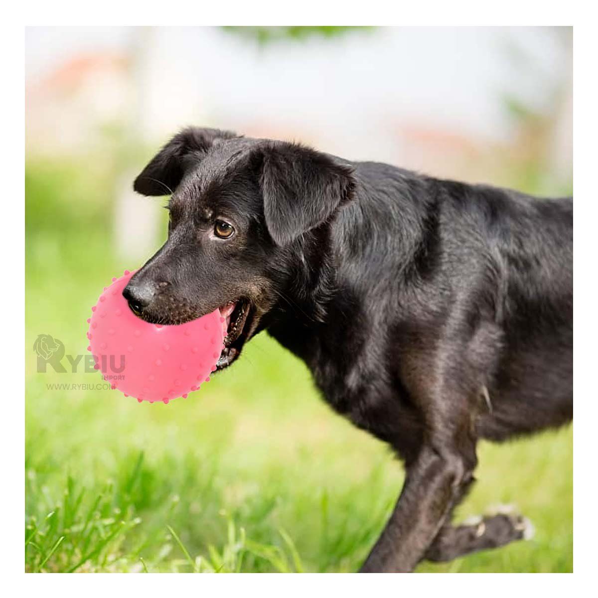 GENERICO - Pelota para Perros Masticable de Rosado Y+Gift Stickers