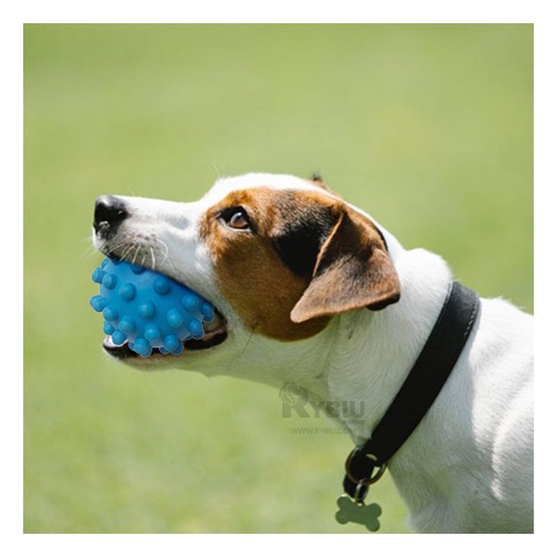 GENERICO - Pelota de Juguete para Can en Celeste Y+Gift MiniAgenda