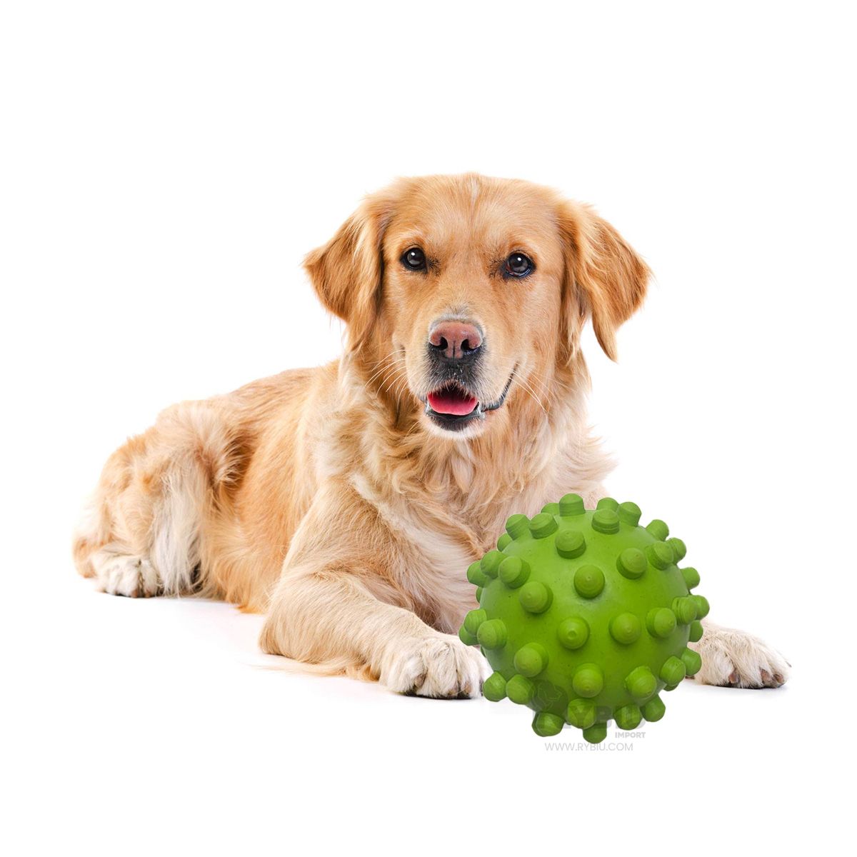 RYBIU IMPORT - Juguete para Perros Caucho Verde Y+Regalo Agendita