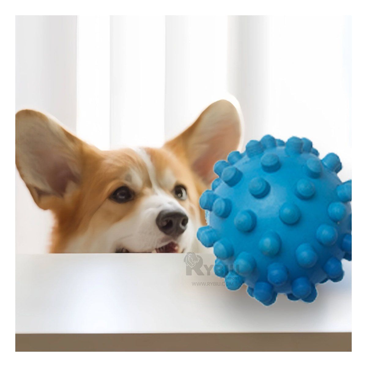 RYBIU IMPORT - Pelota de Caucho de Cachorro en Celestel Y+Regalo Stickers