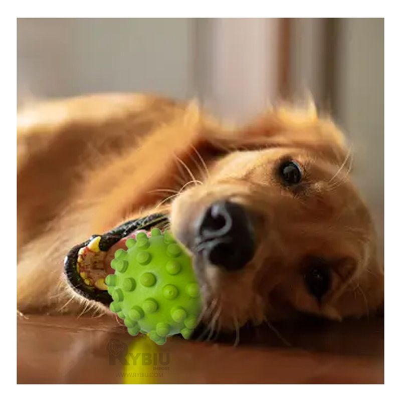 GENERICO - Pelota Juguete para Can en Color Verde Y+Gift MiniAgenda
