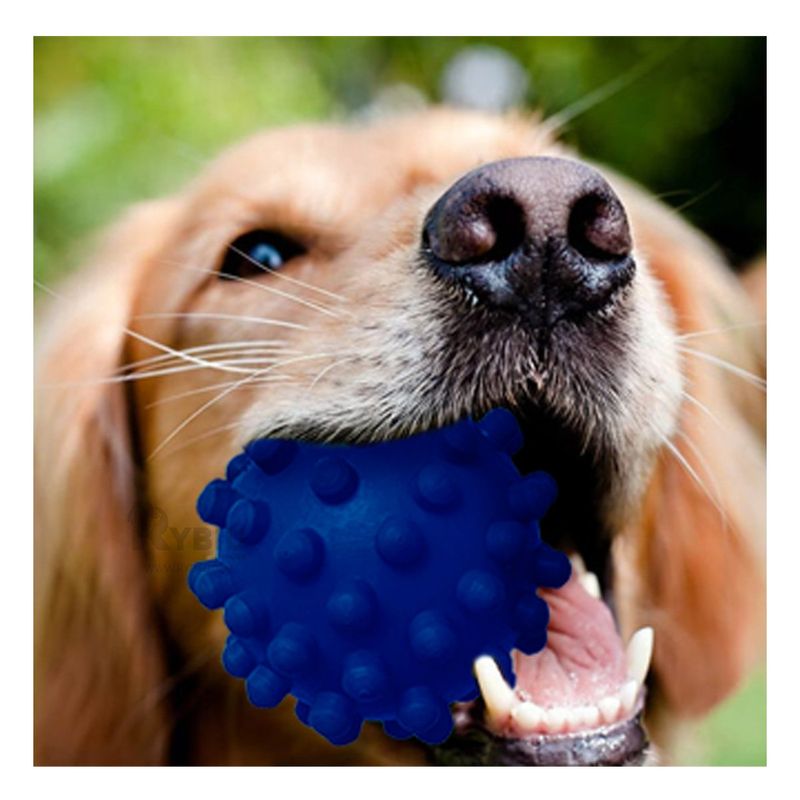 GENERICO - Pelota de Juguete para Can en Azul Y+Gift MiniAgenda