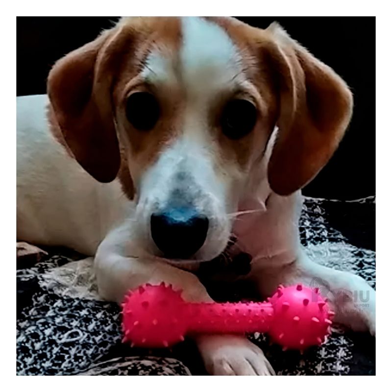 RYBIU IMPORT - Masticable de Juguete Rosado Y+Regalo Ligas para Peinar