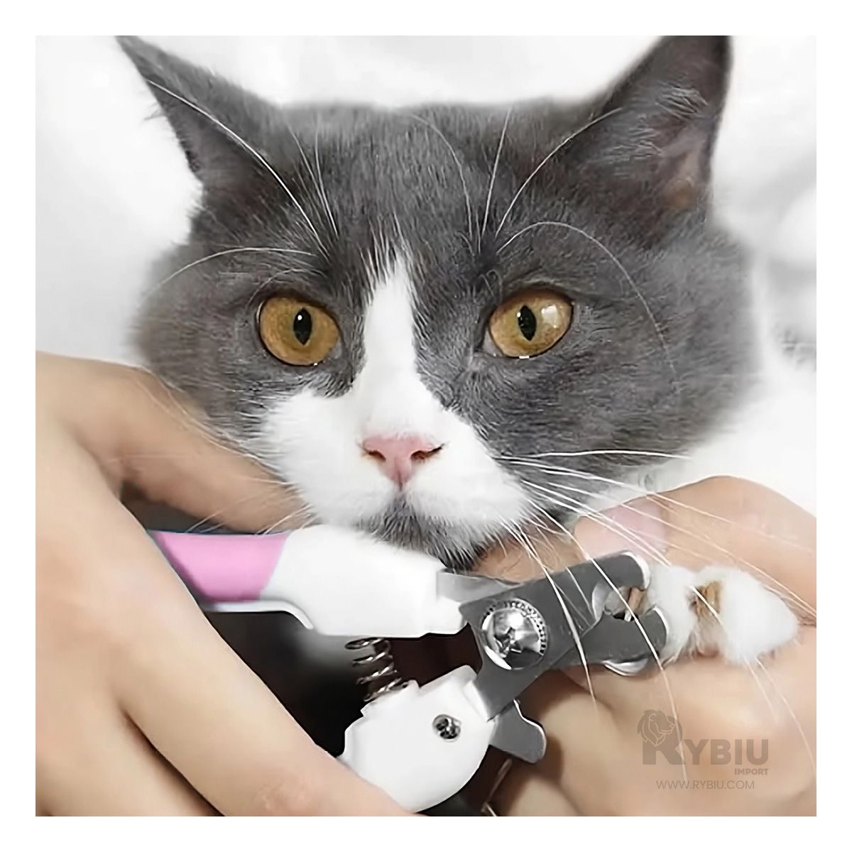 GENERICO - Corta Uñas Perfecto para Mascota Rosado Y+Regalo Stickers