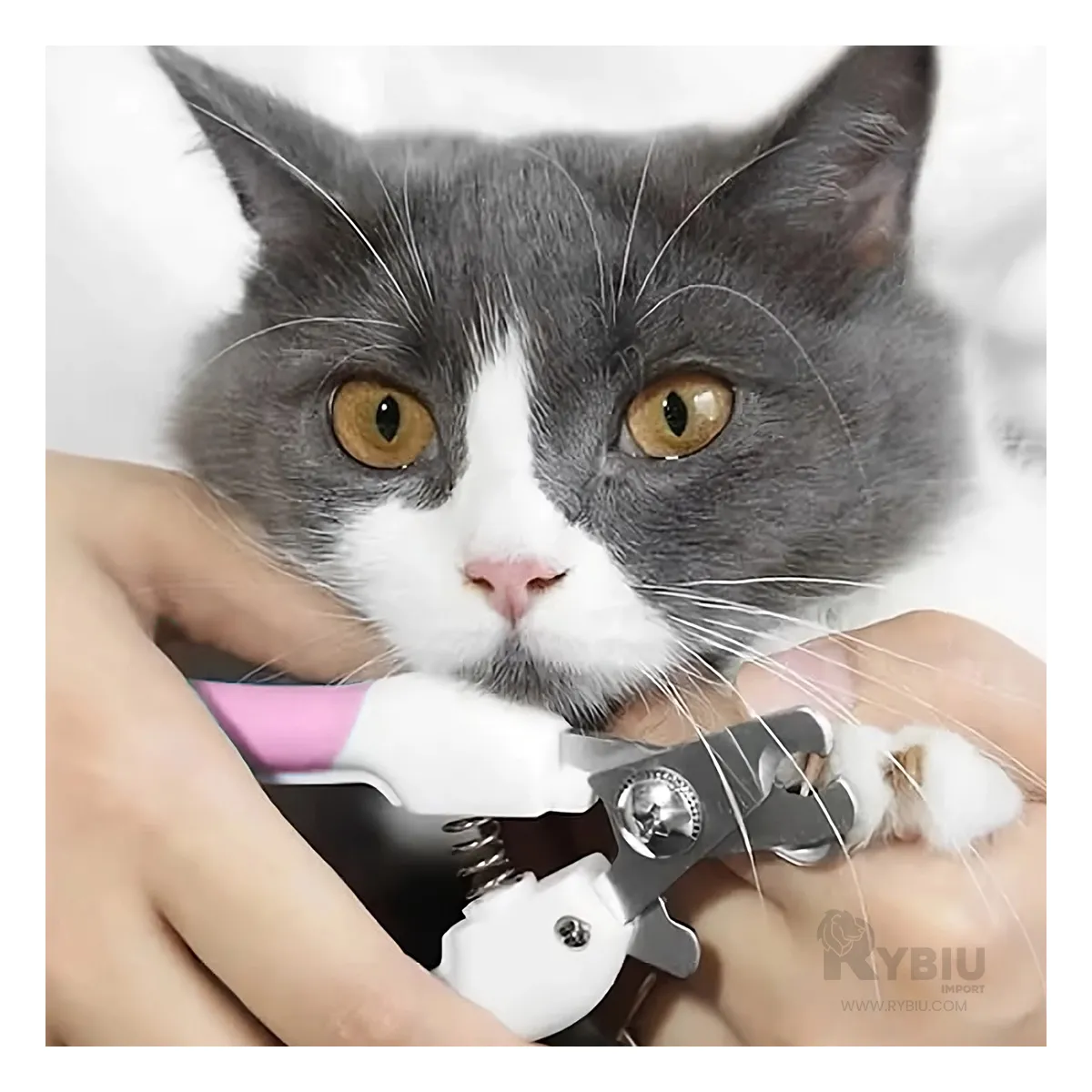 GENERICO - Corta Uñas Perfecto para Mascota Rosado Y+Regalo Stickers