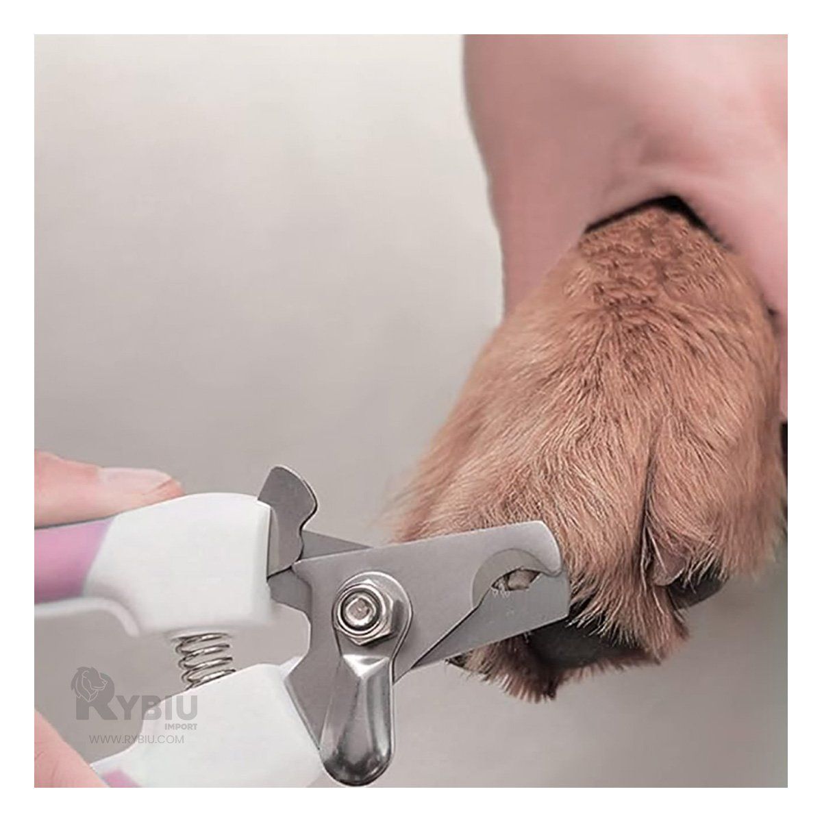 GENERICO - Cortador de Uñas Corte Preciso Grande Rosado Y+Gift Stickers