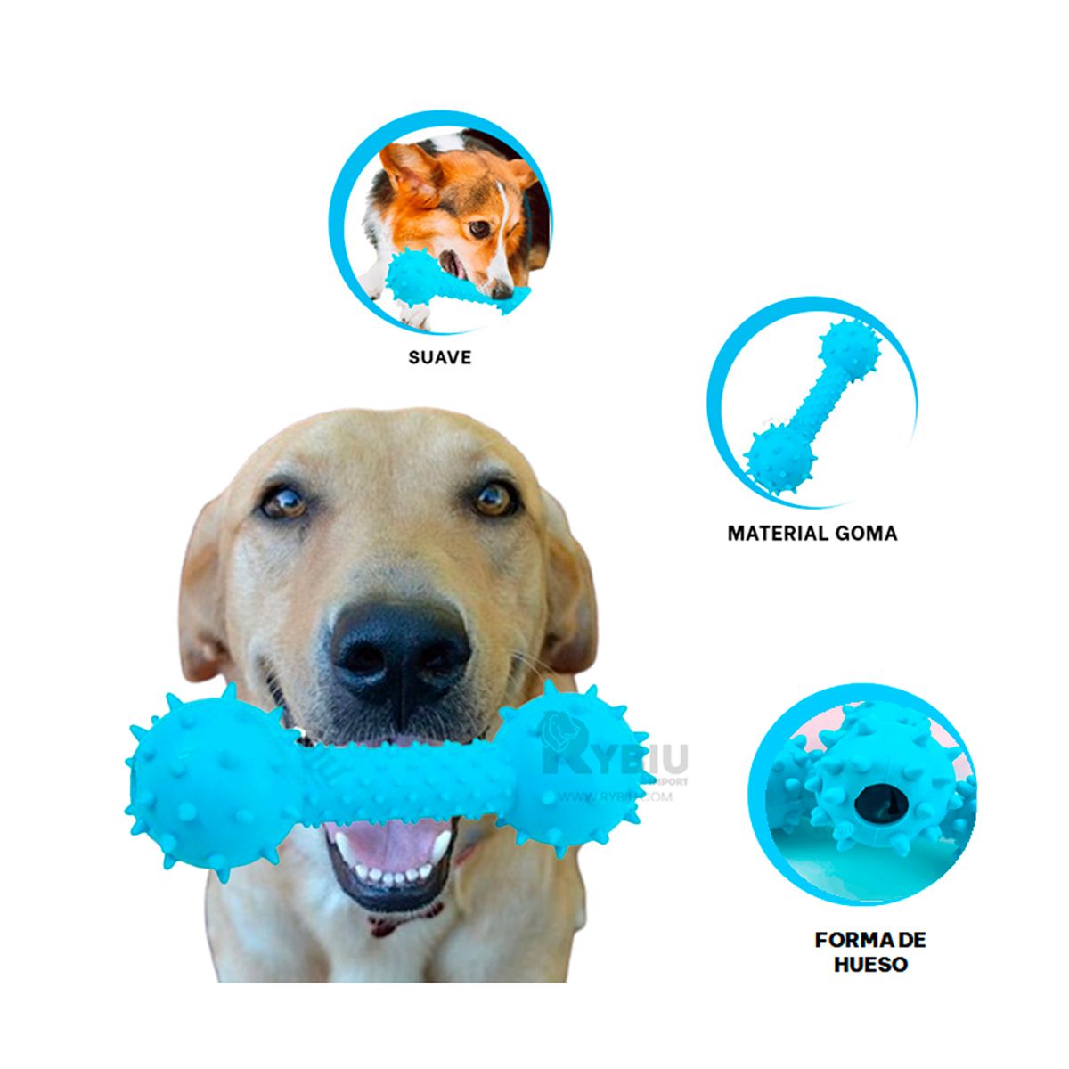 GENERICO - Juguete para Perros de Color Celeste Y+Papel de Regalo