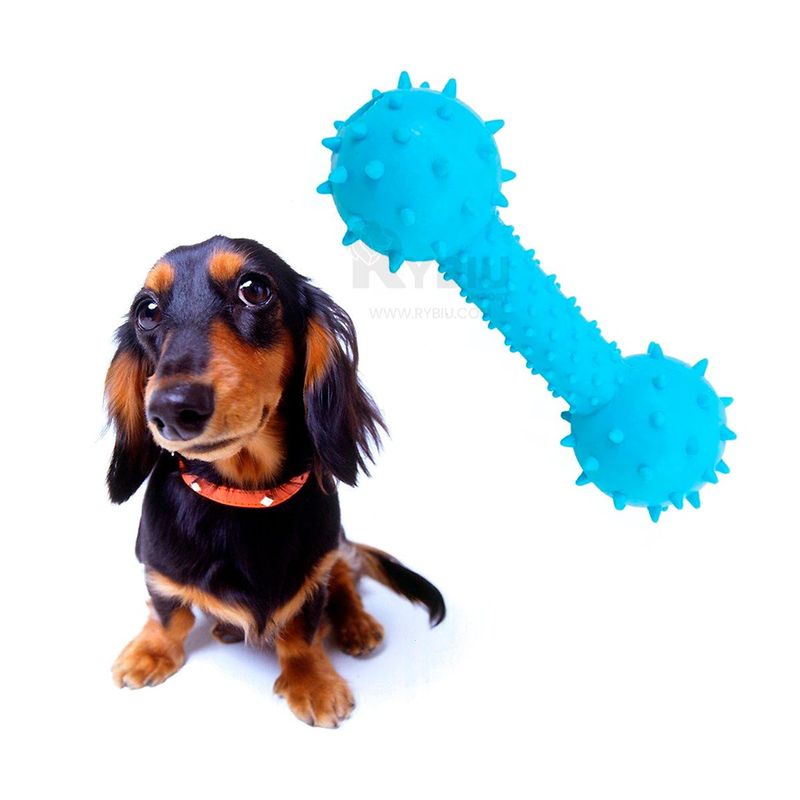 GENERICO - Hueso Canino Funcional de Color Celeste Y+Gift Stickers