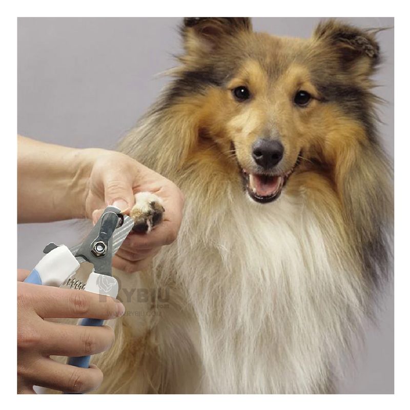 GENERICO - Corta Uñas Pet Con Lima un Mango Curvo en Celeste Chico