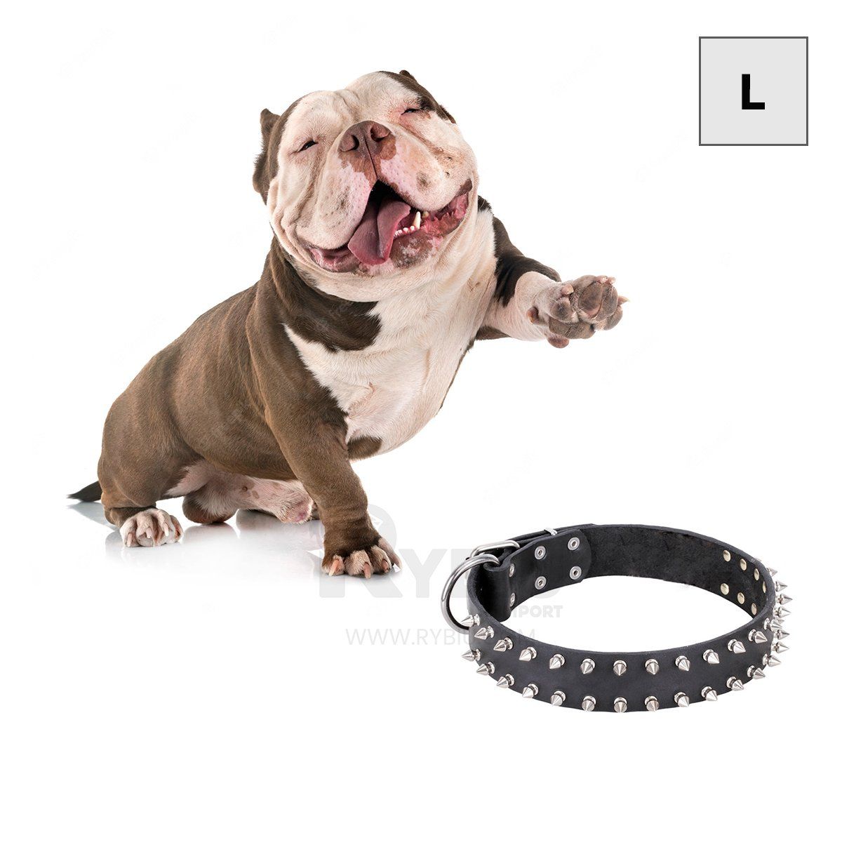 GENERICO - Collar con Diseño de Puas para Mascotas Color Negro Talla XL