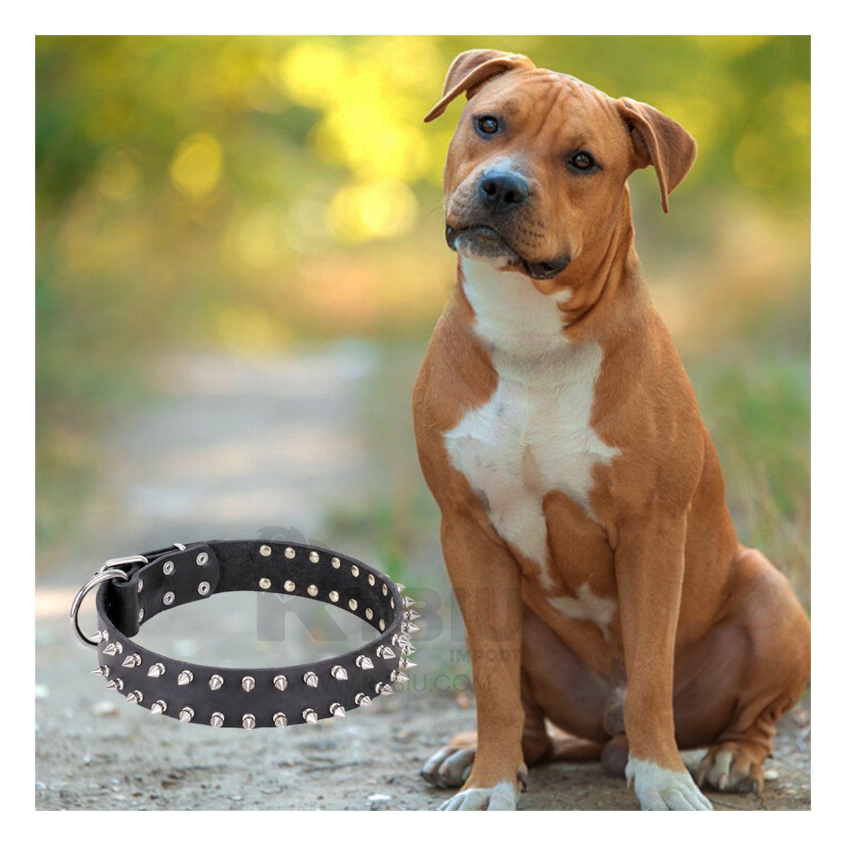 GENERICO - Collar Ergonomico para Perros Negro Talla XL Y+Agendita
