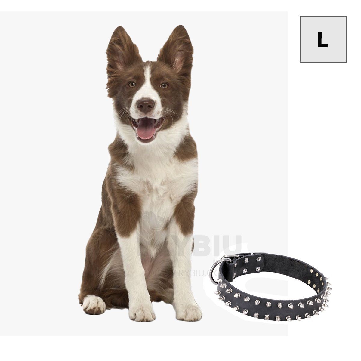 GENERICO - Collar Ergonomico para Perros Negro Talla XL Y+Agendita